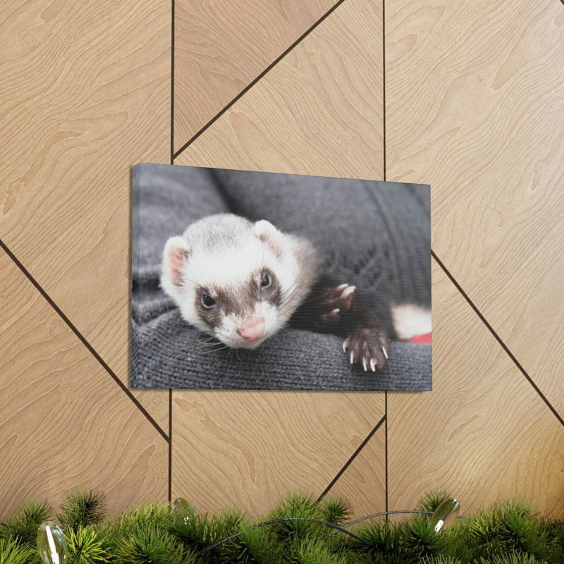 Funny Weasel Silly Weasel Scene Inside Wall Art, 12" H x 18" W