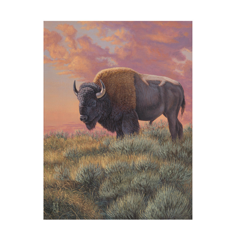 Art sur toile «Bachelor» par Jeff Hoff Prairie, H 14 po x l 19 po