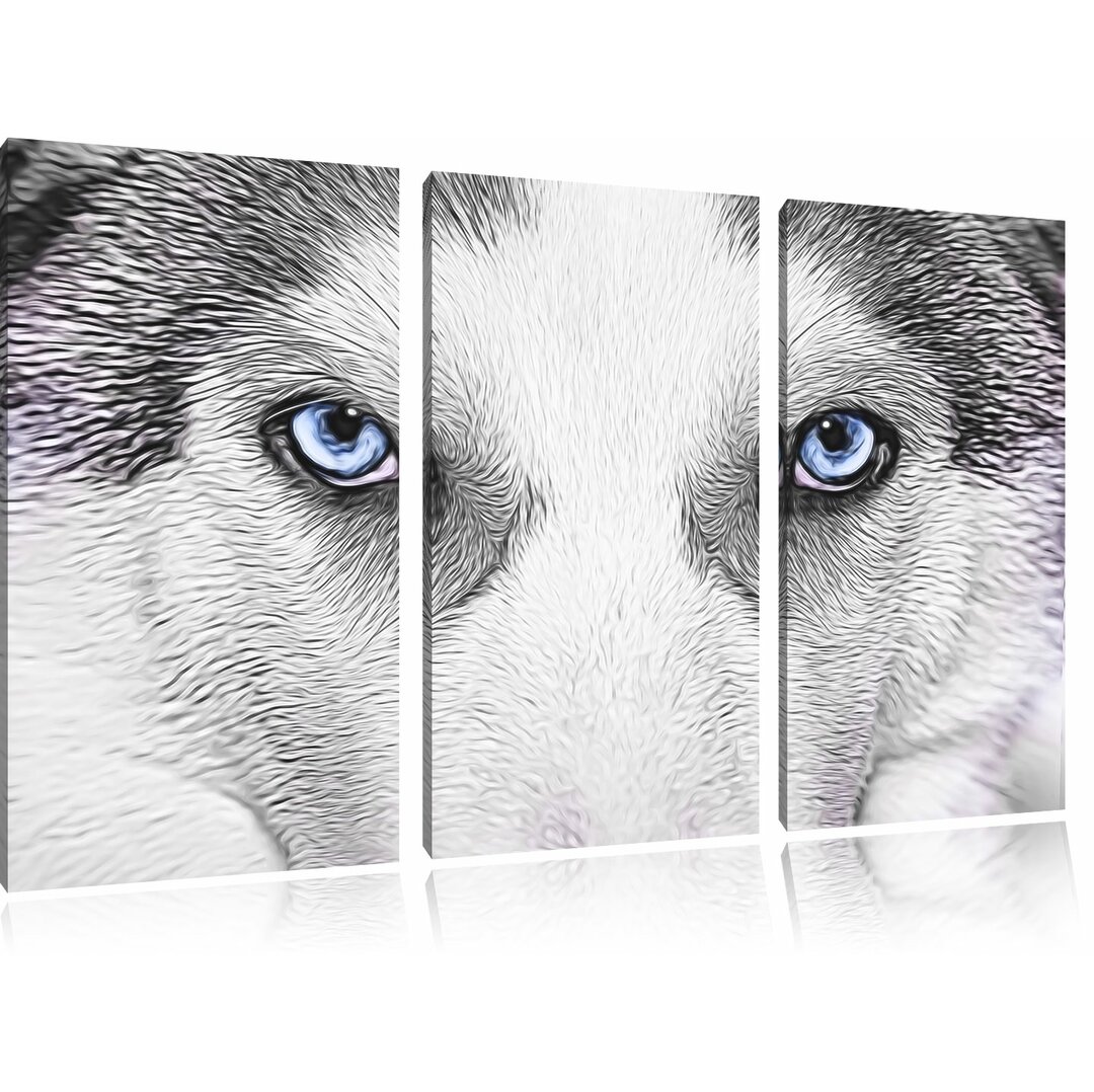 3-tlg. Leinwandbilder-Set „Husky mit Blauen Augen“, Grafikdruck