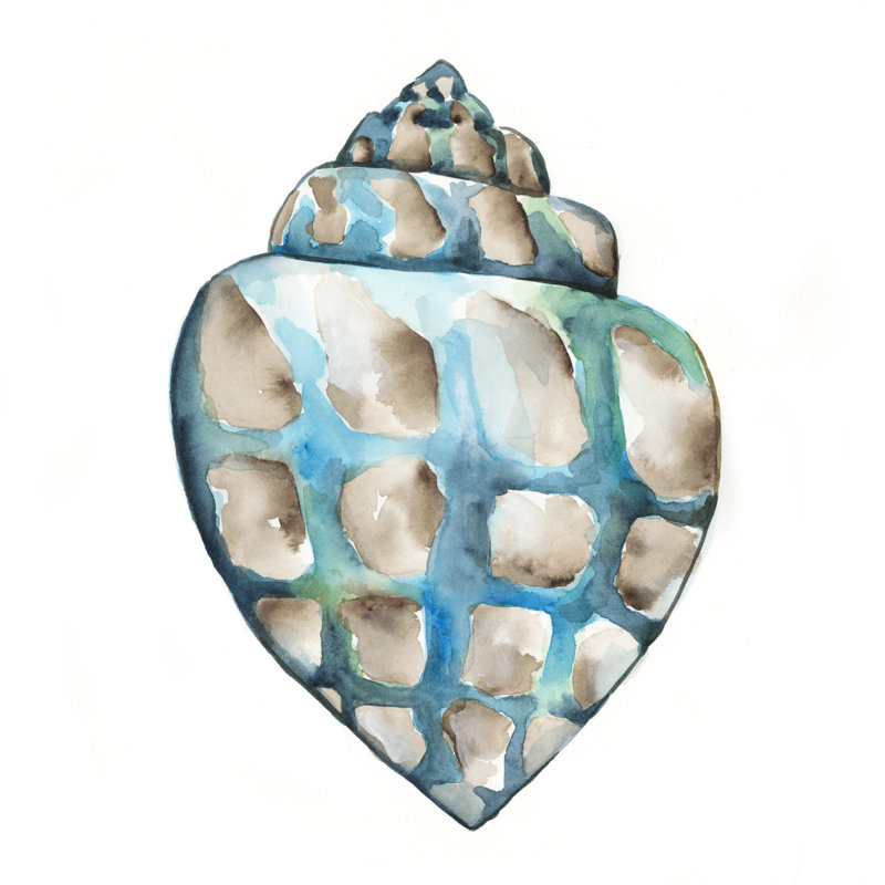 «Aquarelle Shells V», peinture sur toile, H 12 po x l 12 po