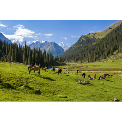 Chevaux dans les montagnes - Photographie sur toile tendue