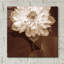 Epic Art ' Lotus Welcome' By Rebecca Swanson, Acry " Lotus Welcome " by Rebecca Swanson-101683625