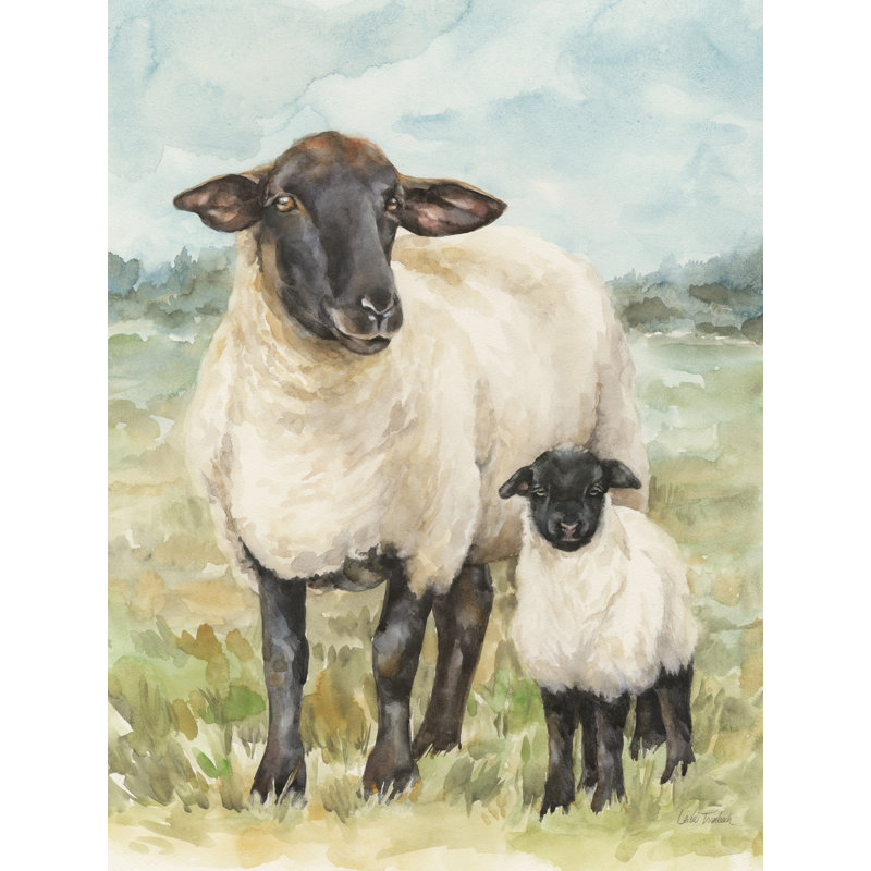 «Sheep In A Field On Canvas» par Leslie Trimbach, H 32 po x l 24 po