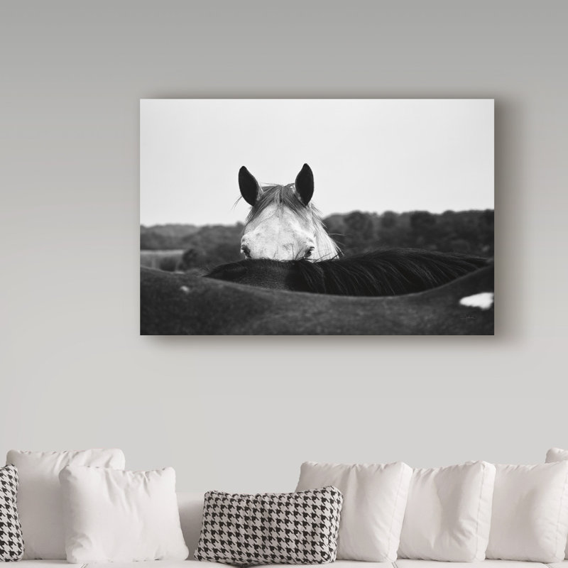 « flirt white cheval », reproduction de photo sur toile tendue, H 30 po x l 47 po x P 2 po