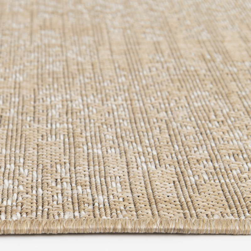 Union Rustic Makeitha Abenaki Tan/Beige Global Indoor/Outdoor Polypropylene Area Rug, Rectangle 3'3" x 5'3"