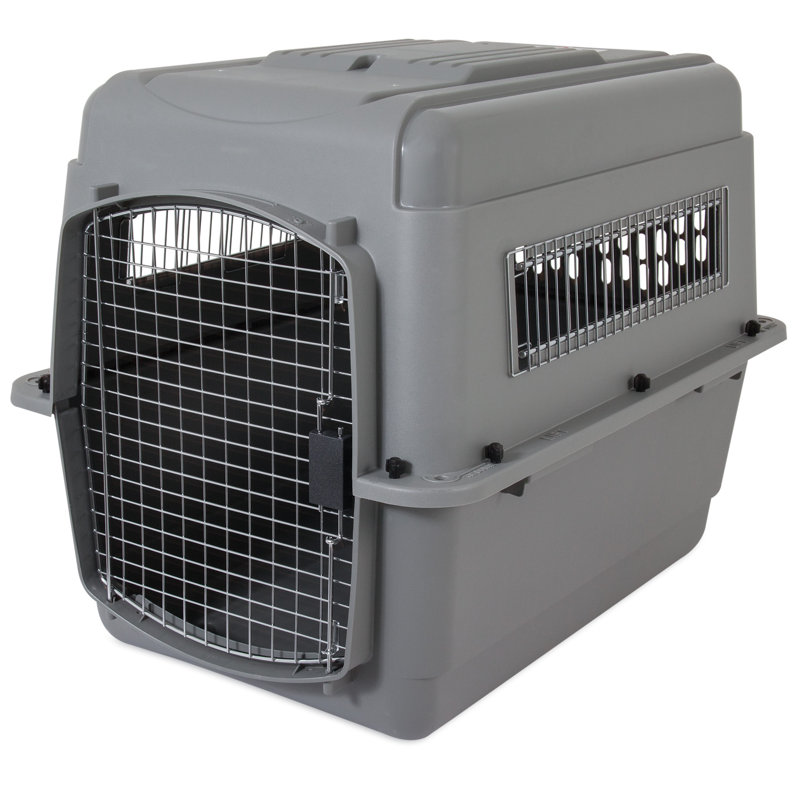 Gray Airline Approved Plastic Pet Carrier with Wire Door