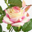 Plastic, Silk Rose Arrangement in Pot-109341031