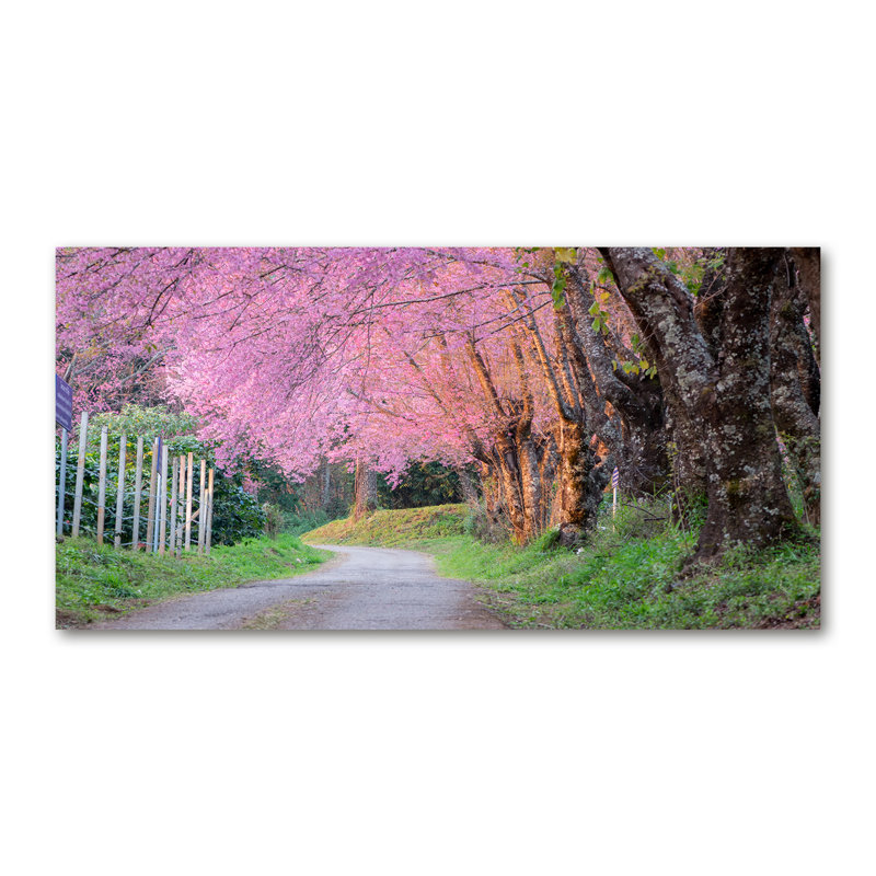 Cherry Blossoms - Wrapped Canvas Print