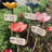 Flower shaped watering device