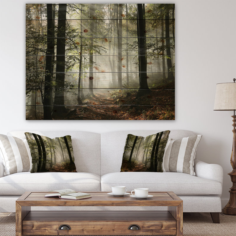 Lumière dans une forêt d'automne dense avec brouillard, œuvre d'art, H 30 po x l 40 po, Blanc, Impression encadrée