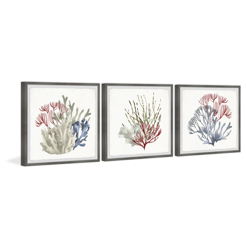 Marine Life Triptych