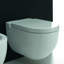 One Evolution 1.28 GPF Dual Flush Toilet