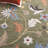 Jardin Handtufted Wool Cotton Floral Rug in Green/Blue-109480373