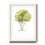 Larbre - reproduction de cadre photo sur papier-558034434-558034450