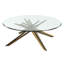 Mikado Glass Coffee Table