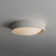 Carran Acrylic LED Flush Mount