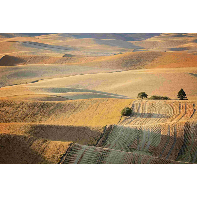 Farm & Field III, H 20 po x l 30 po