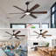 Ventilateur de plafond intérieur / extérieur intelligent avec lumière, 6 pales noir / noyer à double finition, télécommande, DEL à intensité variable, moteur à courant continu silencieux à 6 vitesses, réversible
