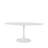 Lunara Oval Tulip Dining Table-1031743064