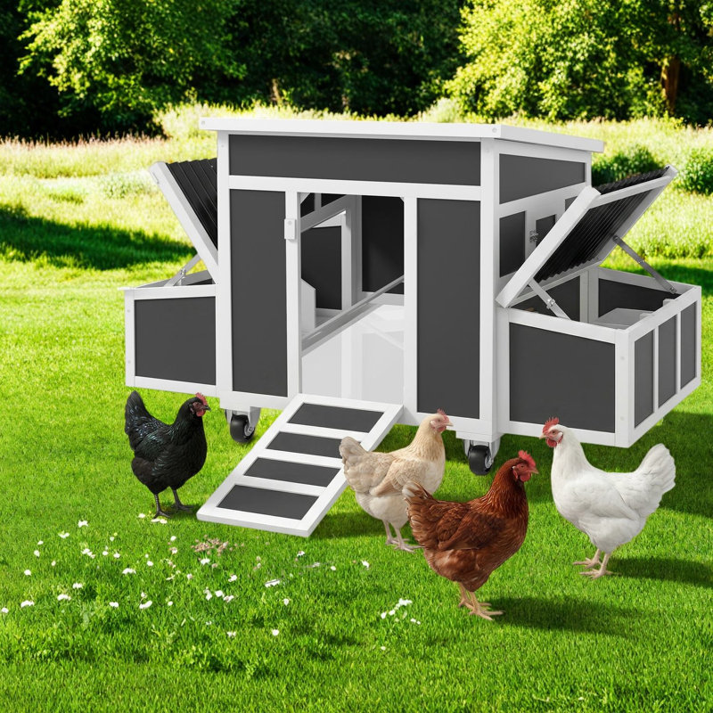 Mobile Chicken Coops, Spacious Wood Hen House with Nesting Box, Outdoor