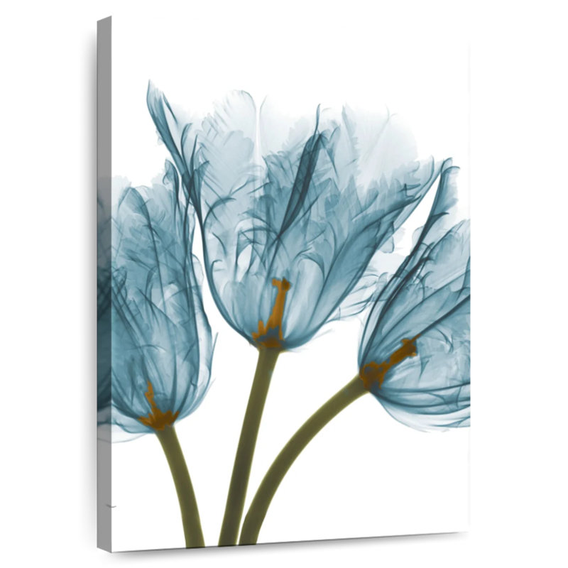 Radiographie des tulipes bleues Harnek, H 48 po x l 32 po