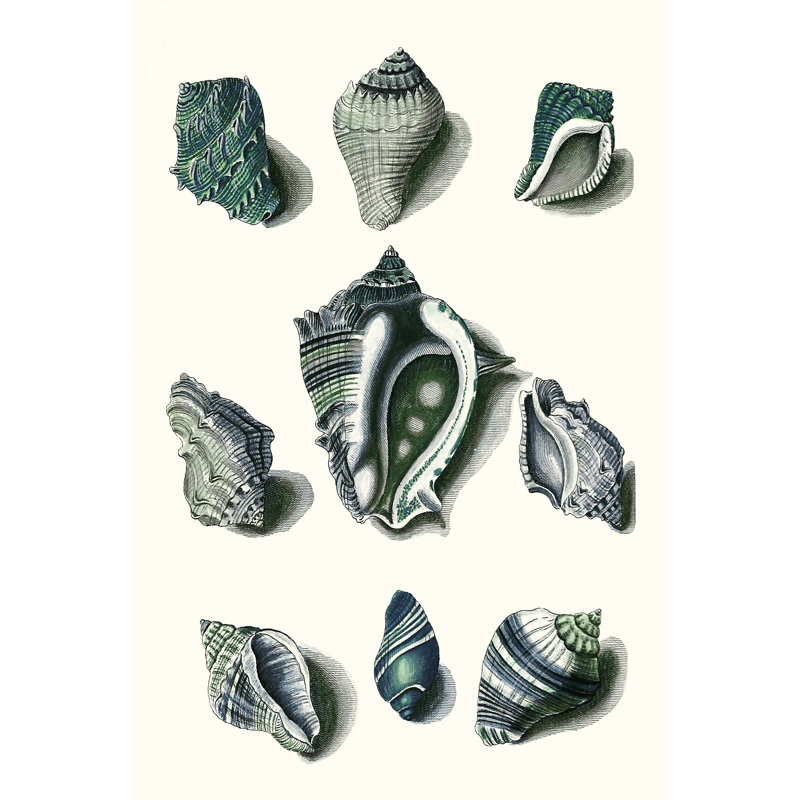Celadon Shells IV - Painting, 122cm H x 81cm W, Wrapped Canvas