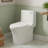 Dual-Flush Elongated Toilet with 12" Rough-In, 1.1/1.6 GPF Water-Saving, 1000g MAP, in Sleek White Ceramic