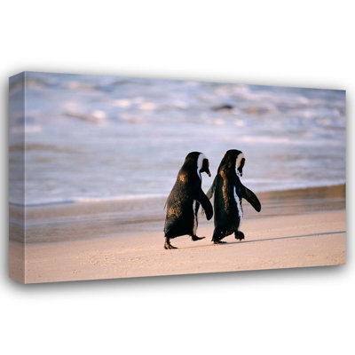 Westmorland, Stuart, art sur toile: Pingouins d'Afrique marchant main dans la main près de Capetown, Afrique du Sud