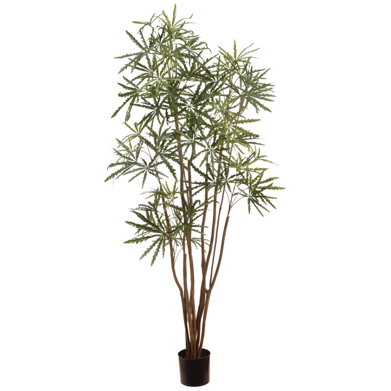 72'' Faux Aralia Tree in Pot