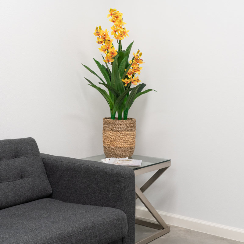 42" Natural Touch Orchid, Yellow