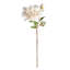 DAHLIA STEM 28"-877213560