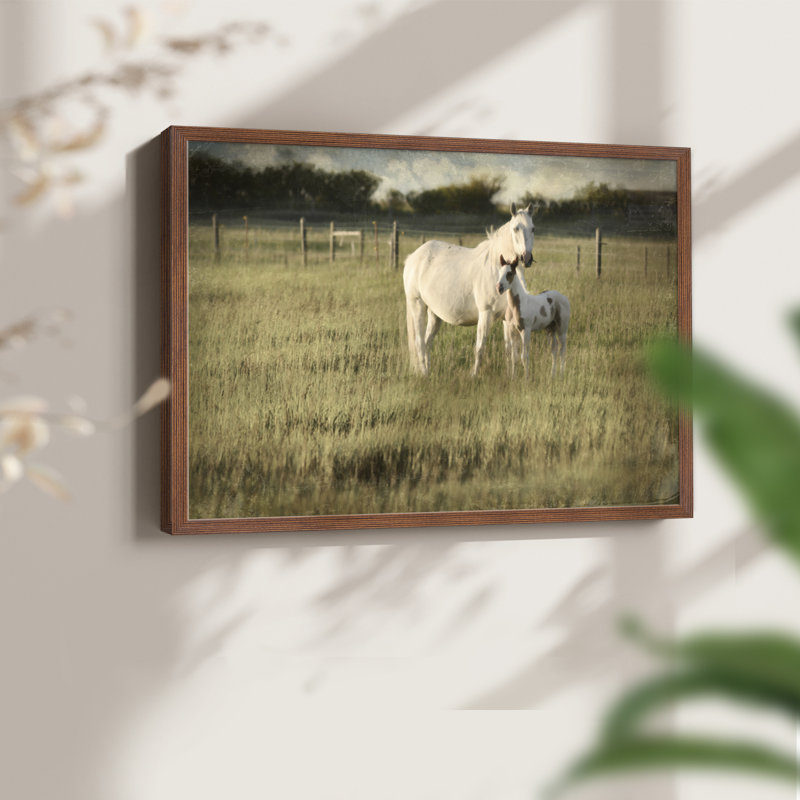 Mare and Colt -Framed Print - Restickable