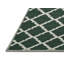 Tapis vert en treillis lavable à la machine-1304531980