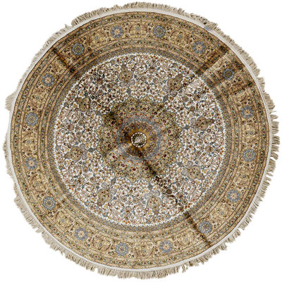 Oriental Area Rug