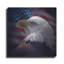 «American Bald Eagle» par Collin Bogle-1557745979