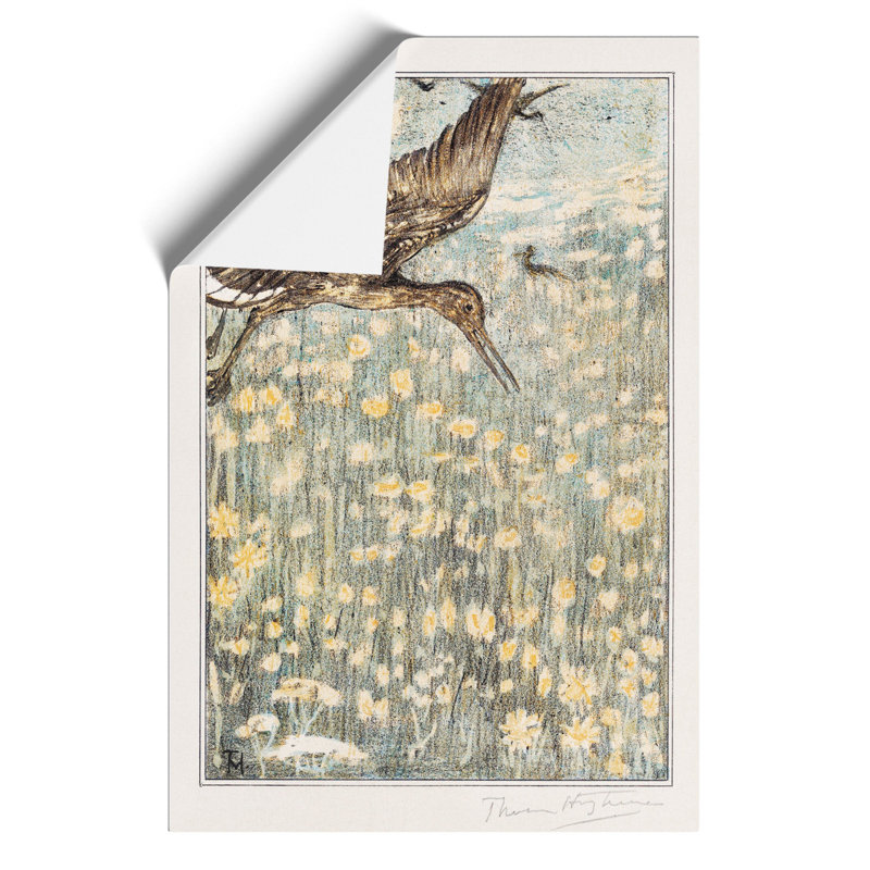 Tureluur Bird - No Frame Print, 59cm H x 42cm W x 0.1cm D