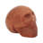 Carruthers Bust