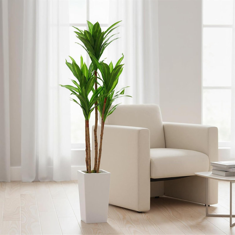147cm Plant