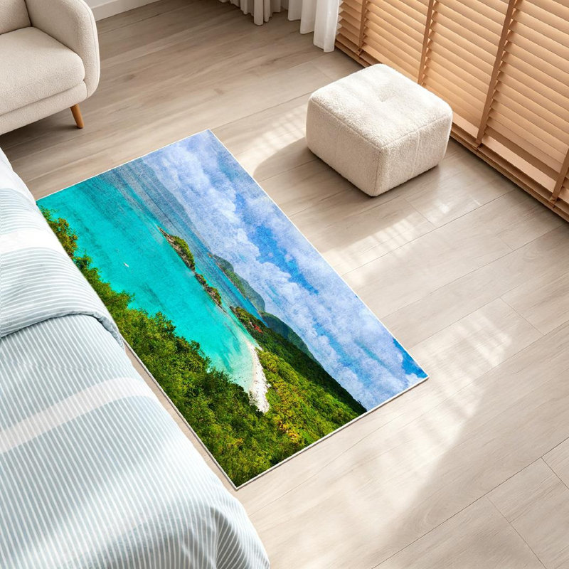 Magnifique tapis d'intérieur transparent lavable à la machine, Trunk Island, Rectangle 32 po x 47 po