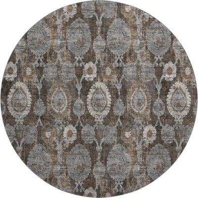 Premium Machine Washable Prisco Chocolate Rug