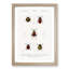 Beetle Illustrations PL.15 by Charles D'Orbigny - Single Picture Frame Print-55544115-55544114