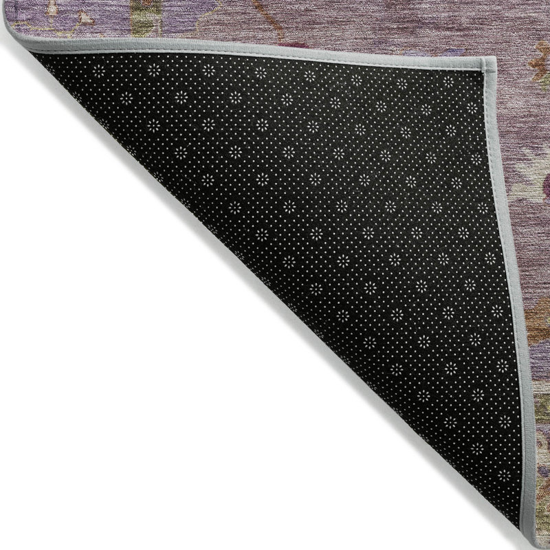Machine Washable Indoor/Outdoor Kaczor ACN2229 Global Rug, Rectangle 2'6" x 3'10"