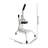 Standing Manual Slicer Vegetable Fruit Chopper Slicer Manual Lever Food Chopper for Potato Tomato Mushroom Home and Small Restaurant