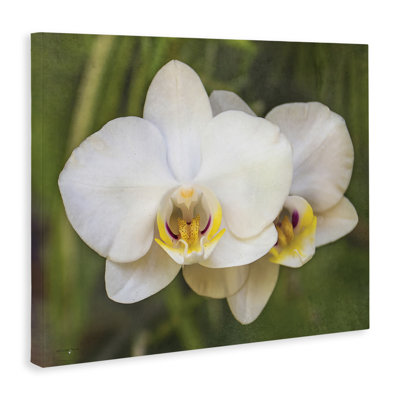 Orchid Blossom Glow Canvas, design by Seven Trees Design
