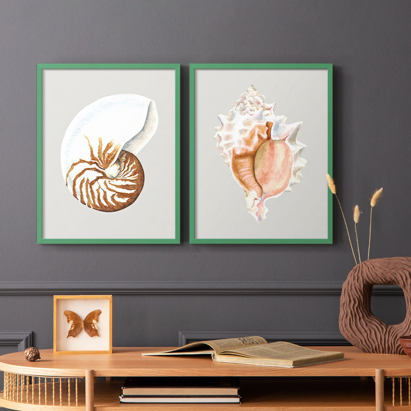 Nautilus - reproduction encadrée de qualité supérieure - prête à être accrochée - aucun clou requis - aucun clou requis, Gris