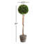 Alby Faux Boxwood Topiary in Planter-189621007
