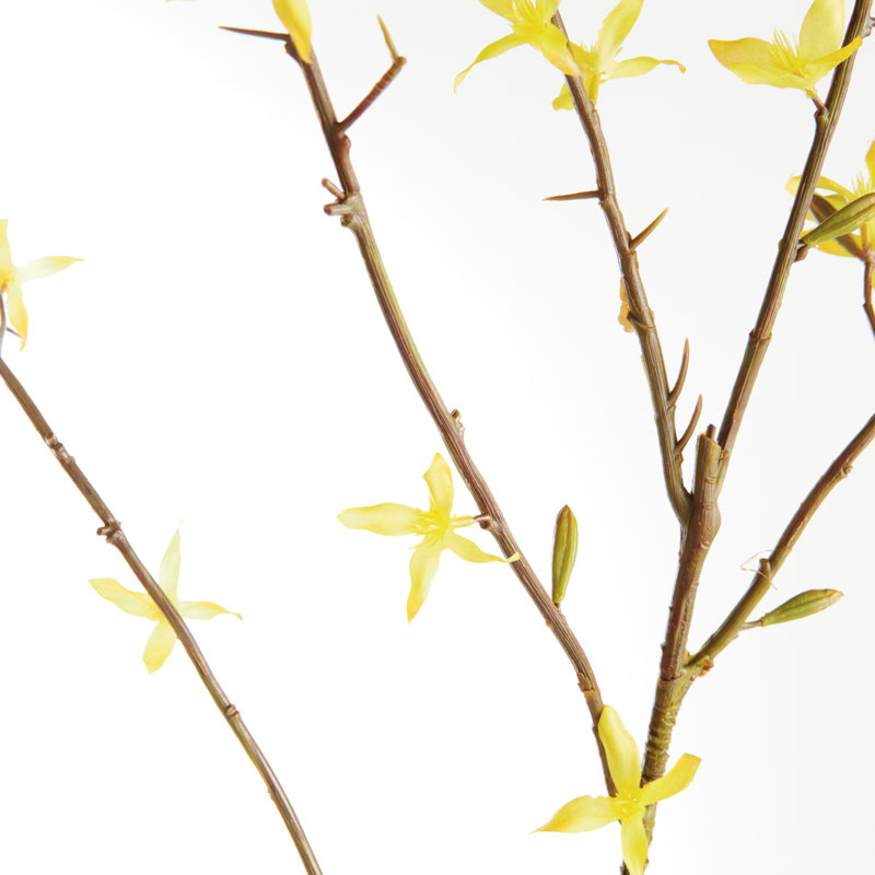 FORSYTHIA STEMS 47 ", ENSEMBLE DE 6
