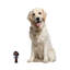 Ensemble de 2 figurines Sweetbriar
