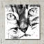 «Cat Face» par Pechane-1628450482