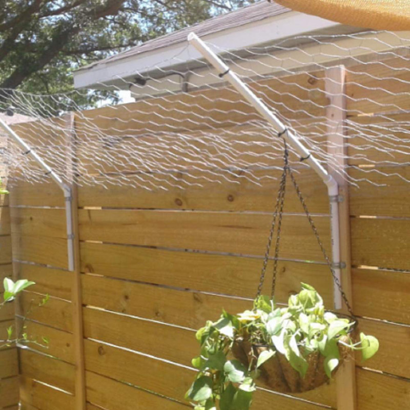 2 pouces 36inchx50ft Hexagonal Poulet Galvanisé Poulet grillage grillagé 20gauge